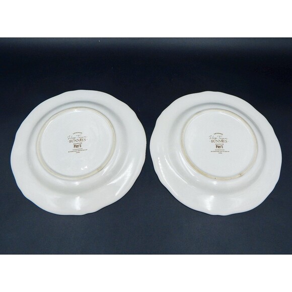 Pier 1 One Hop Town Salad Plates 8.5 Inch Luncheon Set of 2 Earthenware - Picture 10 of 10